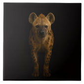 Black 4 Luxe Tile with Wild Spotted Hyena Tegeltje (Voorkant)