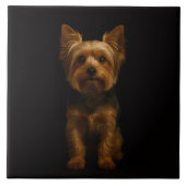 Black 4 Luxe Tile with Yorkshire Terrier Tegeltje (Voorkant)