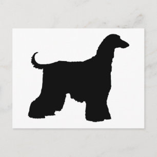 Black Afghan Hound Dog Briefkaart