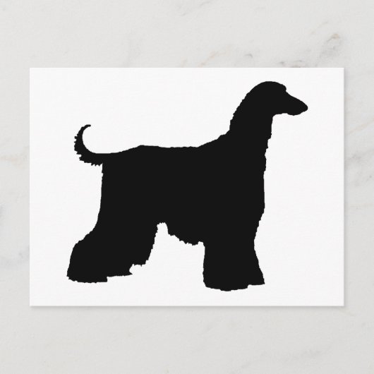 Black Afghan Hound Dog Briefkaart (Voorkant)