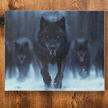 Black Alpha Wolf in de sneeuw