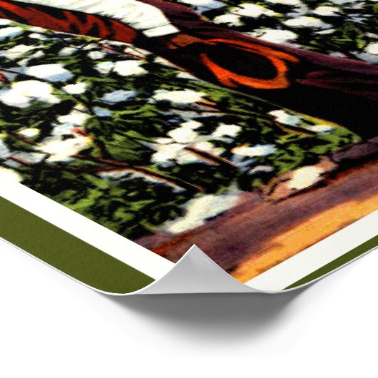 Black America  Cotton Field Man Poster (Hoek)