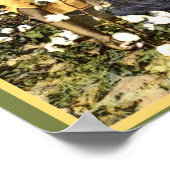 Black America  Cotton Field Woman Poster (Hoek)