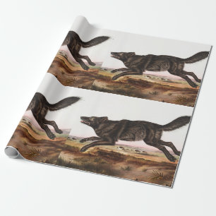Black American Wolf (Canis lupus) Illustratie Cadeaupapier