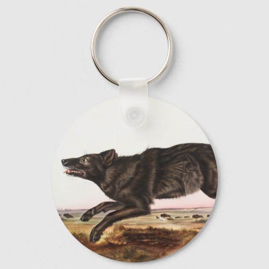 Black American Wolf (Canis lupus) Illustratie Sleutelhanger (Voorkant)