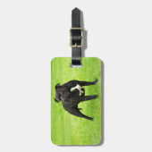 Black Amstaff Bagagelabel (Voorkant verticaal)