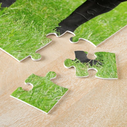 Black Amstaff Legpuzzel (Zijkant)