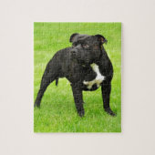 Black Amstaff Legpuzzel (Verticaal)