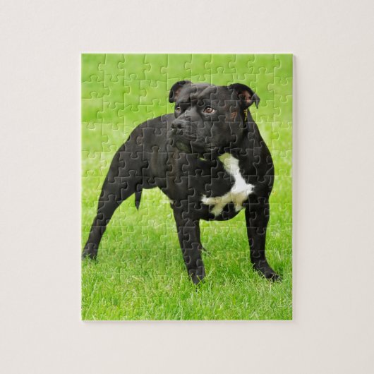 Black Amstaff Legpuzzel (Verticaal)