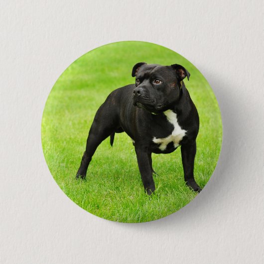 Black Amstaff Ronde Button 5,7 Cm (Voorkant)