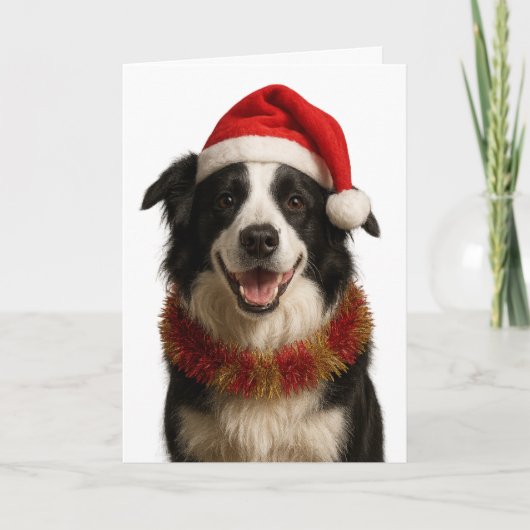 Black and and white Border Collie Christmas card Kaart (Voorkant)