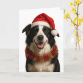 Black and and white Border Collie Christmas card Kaart (Gele Bloem)