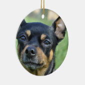 Black and Brown Chihuahua Ornament (Rechts)