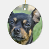 Black and Brown Chihuahua Ornament (Links)