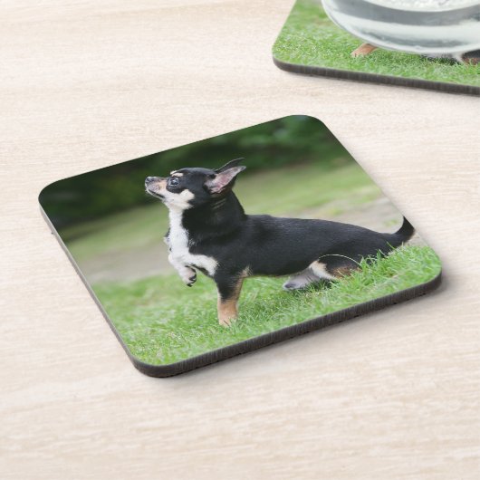 Black and Cream Chihuahua Bier Onderzetter (Linkerzijde)