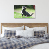 Black and Cream Chihuahua Canvas Afdruk (Insitu (Slaapkamer))