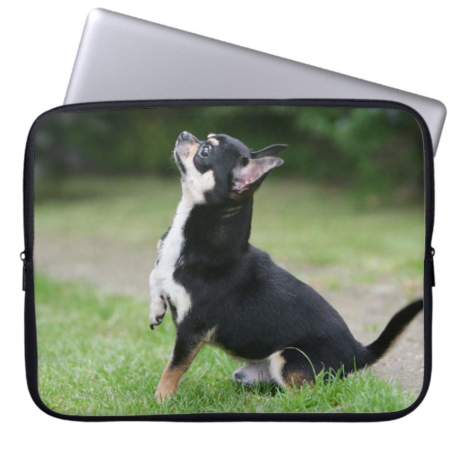 Black and Cream Chihuahua Laptop Sleeve (Voorkant)
