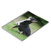 Black and Cream Chihuahua Notitieboek (Linkerzijde)