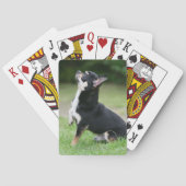 Black and Cream Chihuahua Pokerkaarten (Achterkant)