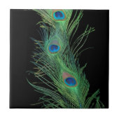 Black and Green Peacock Feathers Tile Tegeltje (Voorkant)
