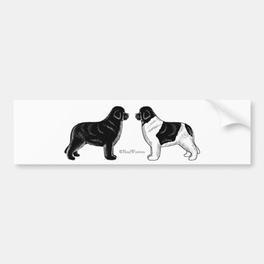 Black and Landseer Newfoundland Dogs Bumpersticker (Voorkant)