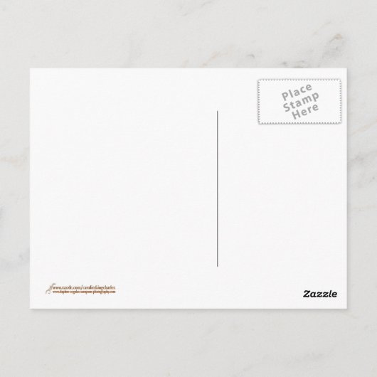 Black and Tan Cavalier King Charles Spaniel Briefkaart (Achterkant)