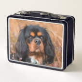 Black and Tan Cavalier King Charles Spaniel Dog (Achterkant)