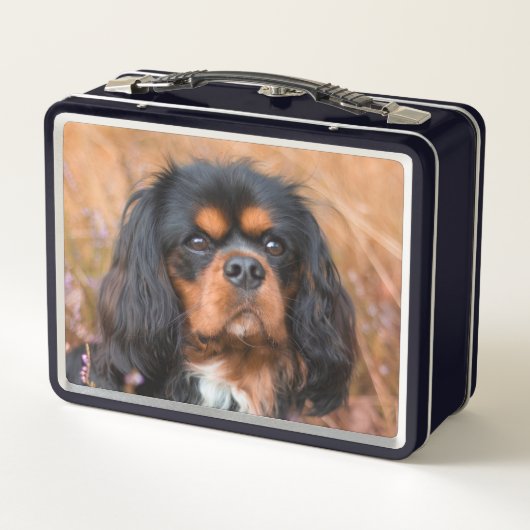 Black and Tan Cavalier King Charles Spaniel Dog (Achterkant)