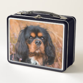 Black and Tan Cavalier King Charles Spaniel Dog