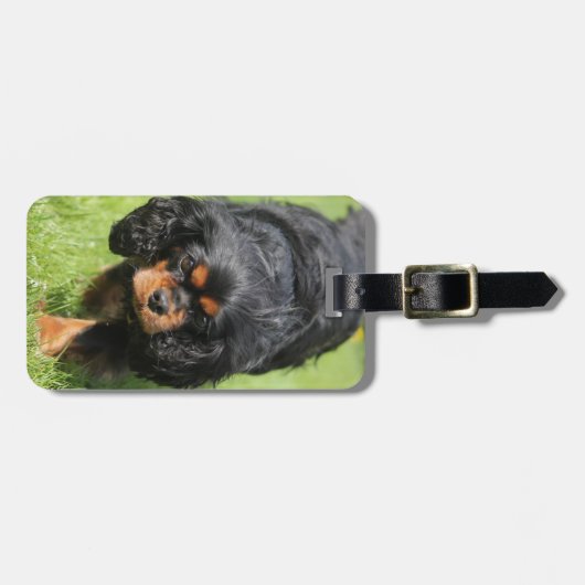 Black and Tan Cavalier King Charles Spaniel Dog Bagagelabel (Voorkant horizontaal)