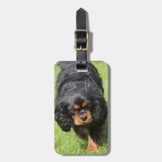 Black and Tan Cavalier King Charles Spaniel Dog Bagagelabel (Voorkant verticaal)