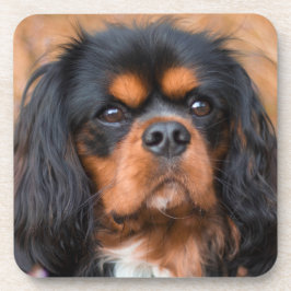 Black and Tan Cavalier King Charles Spaniel Dog Bier Onderzetter