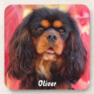Black and Tan Cavalier King Charles Spaniel Dog Bier Onderzetter