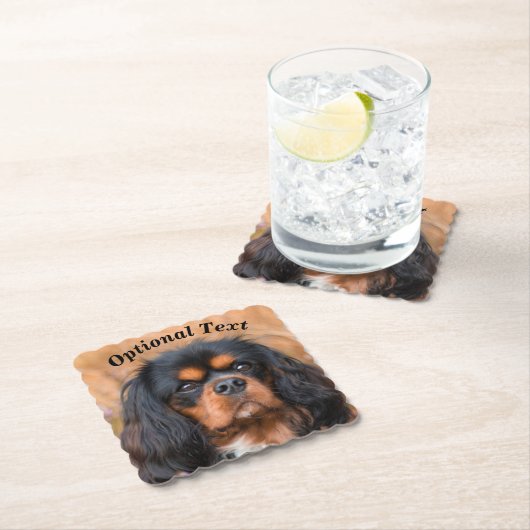 Black and Tan Cavalier King Charles Spaniel Dog Kartonnen Onderzetters (Insitu)