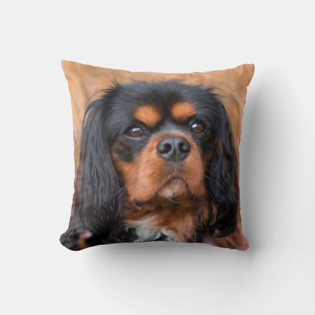 Black and Tan Cavalier King Charles Spaniel Dog Kussen (Voorkant)