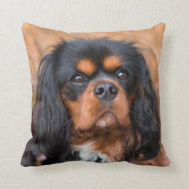 Black and Tan Cavalier King Charles Spaniel Dog Kussen
