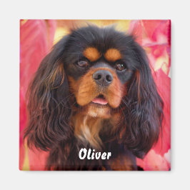 Black and Tan Cavalier King Charles Spaniel Dog Magneet
