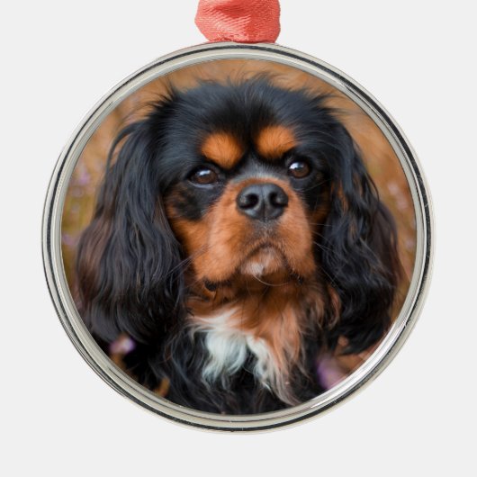 Black and Tan Cavalier King Charles Spaniel Dog Metalen Ornament (Voorkant)