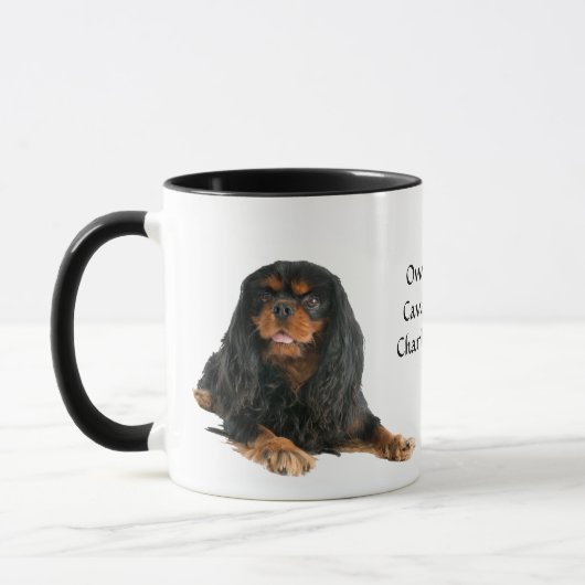 Black and Tan Cavalier King Charles Spaniel Dog Mok (Links)
