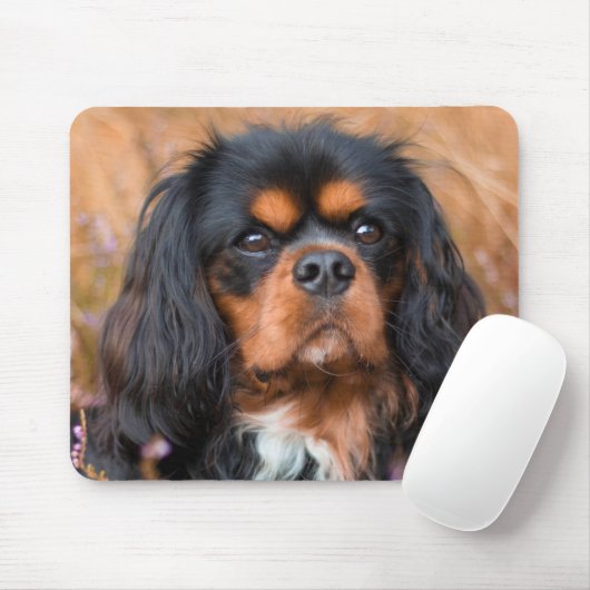 Black and Tan Cavalier King Charles Spaniel Dog Muismat (Met muis)