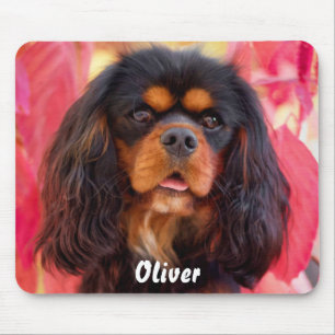 Black and Tan Cavalier King Charles Spaniel Dog Muismat