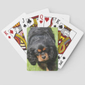 Black and Tan Cavalier King Charles Spaniel Dog Pokerkaarten (Achterkant)
