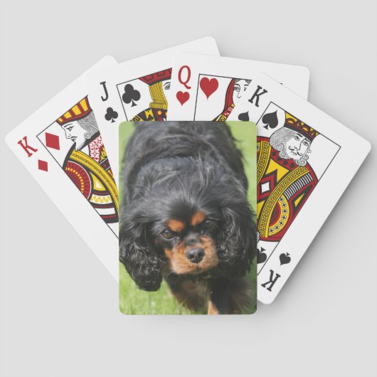 Black and Tan Cavalier King Charles Spaniel Dog Pokerkaarten (Achterkant)