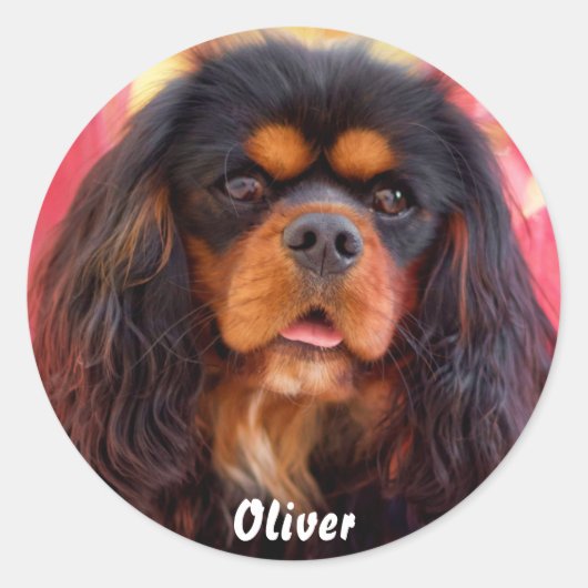 Black and Tan Cavalier King Charles Spaniel Dog Ronde Sticker (Voorkant)