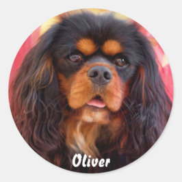 Black and Tan Cavalier King Charles Spaniel Dog Ronde Sticker