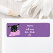 Black and Tan Chihuahua Puppy Etiket (Insitu)