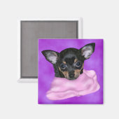 Black and Tan Chihuahua Puppy Magneet (Voorkant / Achterkant)