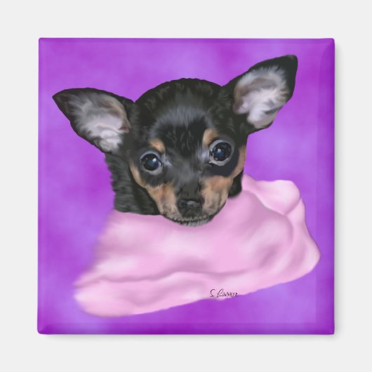 Black and Tan Chihuahua Puppy Magneet (Voorkant)