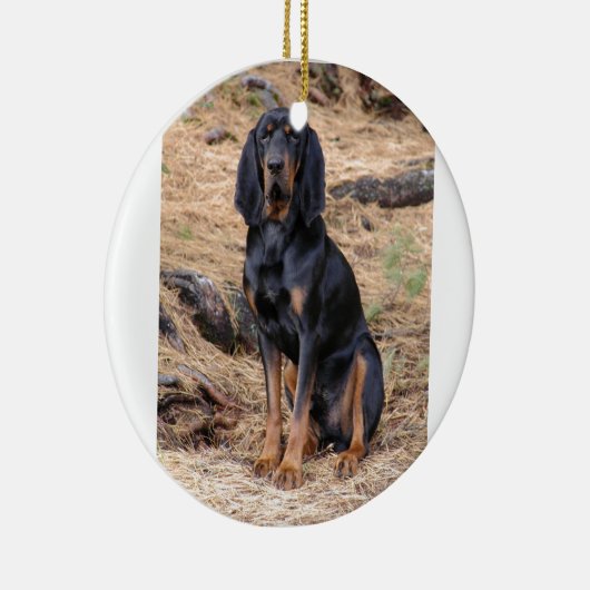 Black and Tan Coonhound Dog Keramisch Ornament (Rechts)