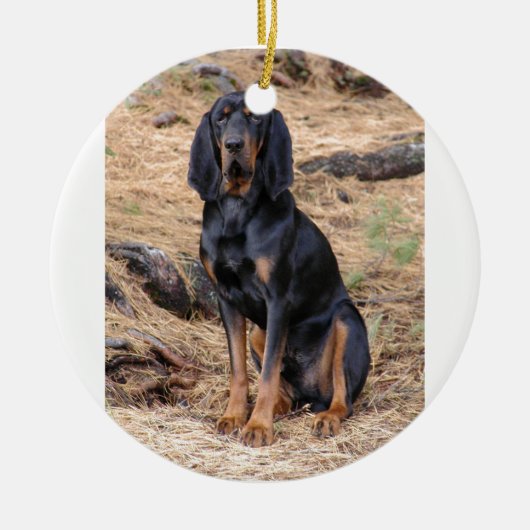 Black and Tan Coonhound Dog Keramisch Ornament (Voorkant)